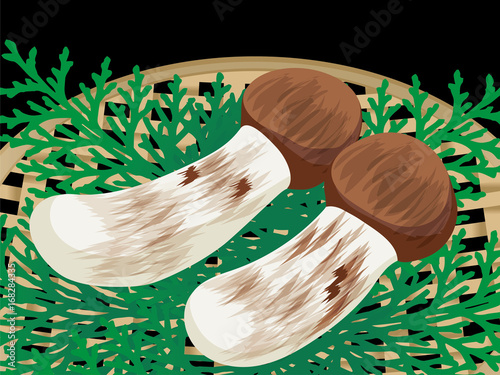 秋の味覚 松茸のイラスト Matsutake Mushroom Illustration Stock Vector Adobe Stock 秋の味覚 松茸のイラスト Matsutake Mushroom Illustration Stock Vector Adobe Stock