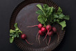 Bunch of radishes in a metal plate on a dark background