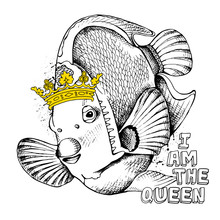 The Image Of The Fish Queen Angelfish With The Crown. Vector Illustration.