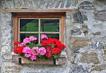 Wall Of An Old Farm House Made Of Field Stones With Window And Red Flowers