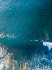 Wall Mural - One surfer riding the wave in clear water beach.