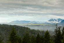 Tofino, British Columbia Landscape