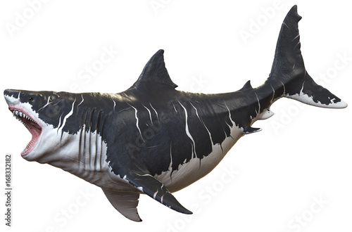 Cuadros en Lienzo 3D rendering of Megalodon isolated on a white background..
