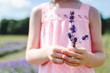 © Lindsay Crandall/Stocksy - Young child holding a sprig of lavender in a field