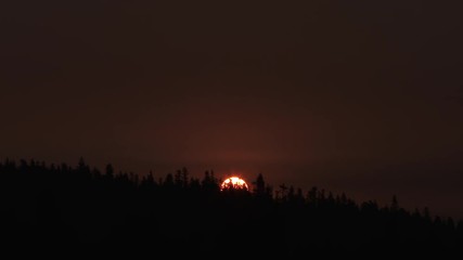 Wall Mural - Night to day time lapse of sunrise appearing above forest trees on warm and smoky sky.