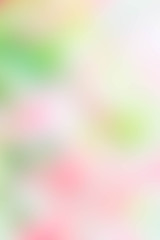 Wall Mural - Texture blur green pink yellow and white mix color pastel nature background , abstract green pink mix color blur
