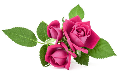 Wall Mural - pink rose flower bouquet isolated on white background cutout