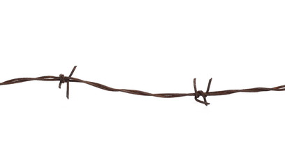 Wall Mural - Old security barbed wire fence isolated on white background