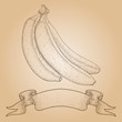 Banana. Hand drawn sketch on beige background