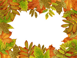 Wall Mural - golden and colorful autumn leaves frame