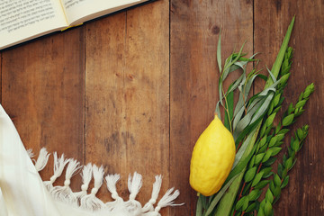 Jewish festival of Sukkot. Traditional symbols (The four species): Etrog, lulav, hadas, arava