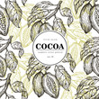 Cocoa beans vector seamless pattern. Engraved vintage style illustration. Chocolate cocoa beans. Banner template.