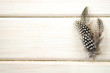 Studio shot of spread of three of black and white spotted patterned and textured guinea fowl feathers white
