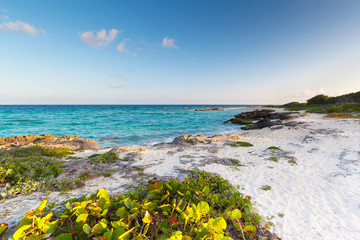 Wall Mural - Idyllic scenery of Caribbean sea of Mexico