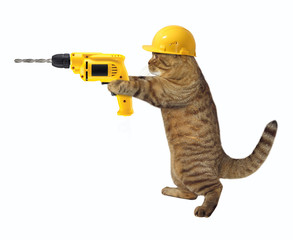 The cat builder is holding a drill. White background.l