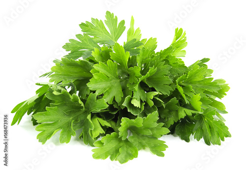 Fotomural parsley bunch isolated on white background
