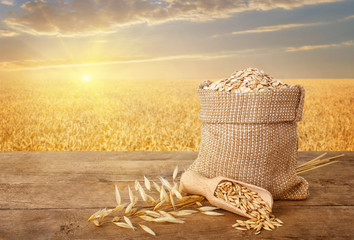 Wall Mural - oatmeal in bag on nature background