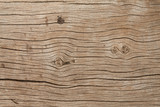 Fototapeta Kwiaty - texture of bark wood use as atural