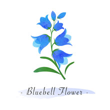 Colorful Watercolor Texture Vector Botanic Garden Flower Bluebell Flower
