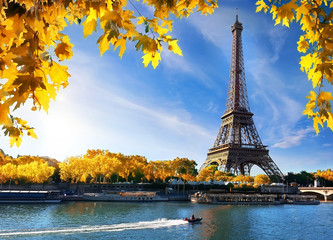 Wall Mural - seine and eiffel tower in autumn