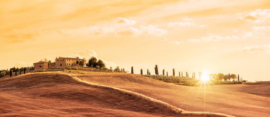 Wall Mural - beautiful typical panorama landscape of tuscany at sunset, italy