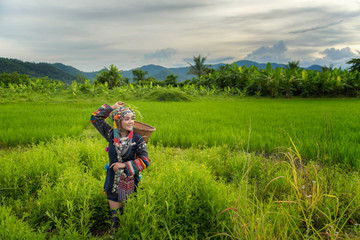 The country girl is harvesting crops in the mountains.