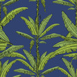 Vector drawn banana palm tree seamless pattern with leaves on blue background in a sketch style. Exotic collection.