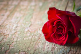 Single red rose on old wooden background