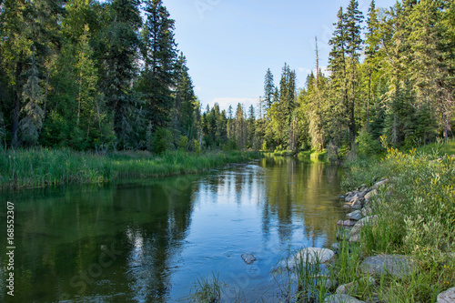 Tranquil Late Afternoon Near The Hiking Trail To Grey Owl S Cabin
