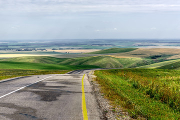 Wall Mural - road fields hills asphalt