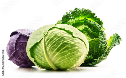 Photographie Three fresh organic cabbage heads isolated on white