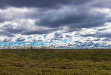 Winter Grassland Against Blue Winter Cloudy Sky Landscape