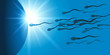 fécondation - reproduction - ovule - spermatozoïde - ovulation - fertilité