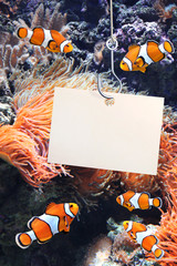 Canvas Print - Clown fish and empty sheet of a paper on a fishing hook