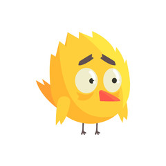  Cute little yellow upset chick bird standing character vector Illustration