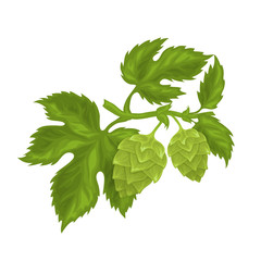 Sticker - Hops cones with leaves