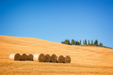 Wall Mural - beautiful typical landscape of val d'orcia in tuscany with hay bales in a field in summer, val d'orc