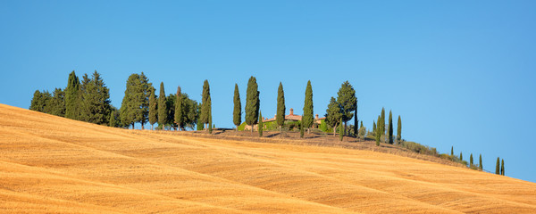 Wall Mural - beautiful typical panorama landscape of val d'orcia in tuscany with a row of cypress trees in summer