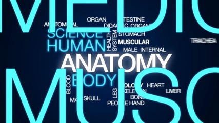 Canvas Print - Anatomy animated word cloud, text design animation.