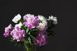 White and pink peonies bouquet. Isolated on a dark background. Free space.