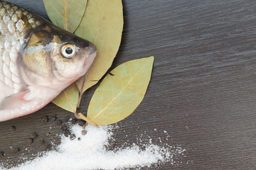 Fresh carp on the black Board with the Bay leaf and pepper salt.