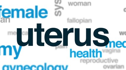 Canvas Print - Uterus animated word cloud, text design animation.