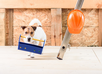 Wall Mural - Concept of builder job: funny worker with toolbox and hardhat