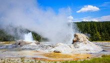 Steam And Erupting Waters Rising Above The Large Vent Of Grotto Geyser In Upper Geyser Basin. Yellowstone National Park