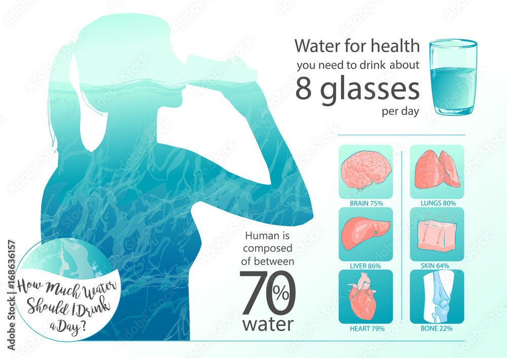 Water In Drinking Woman drinking glass of water. Human body and internal organs balance ...