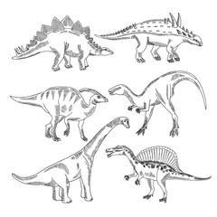 Poster - stegosaurus, triceratops tyrannosaurus and other dinosaur types. vector hand drawn pictures isolate