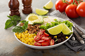 Wall Mural - Mexican salad bowl with rice and pulled pork