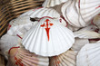 Shell Symbol from Camino de Santiago, Galicia