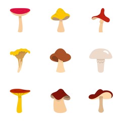 Wall Mural - Fresh mushroom icon set, flat style