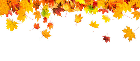 autumn leaves background